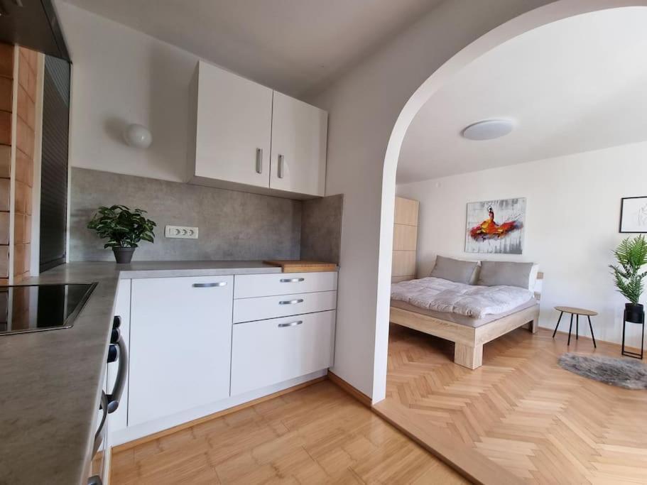 The Rowhouse Apartment Ljubljana - Free Parking Exterior photo